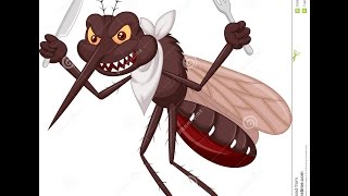 Zika, Dengue, Chikungunya - Metralhadora (Paródia) - Anne Karolynne