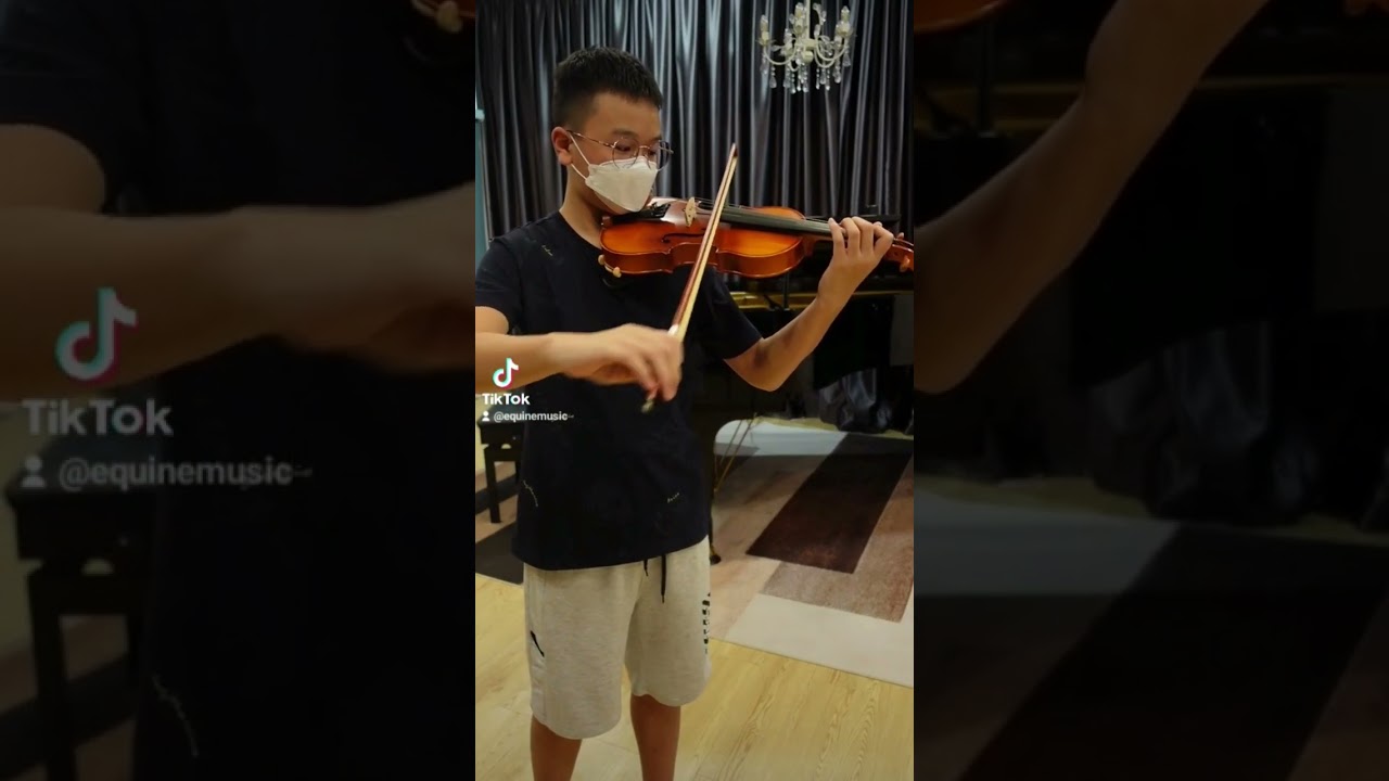 Ode to Joy for beginner violin student #equinemusic #violin  #musiclessons