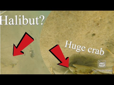 I Used My $450 GoPro As Crab Bait (Never Seen Before Footage!)