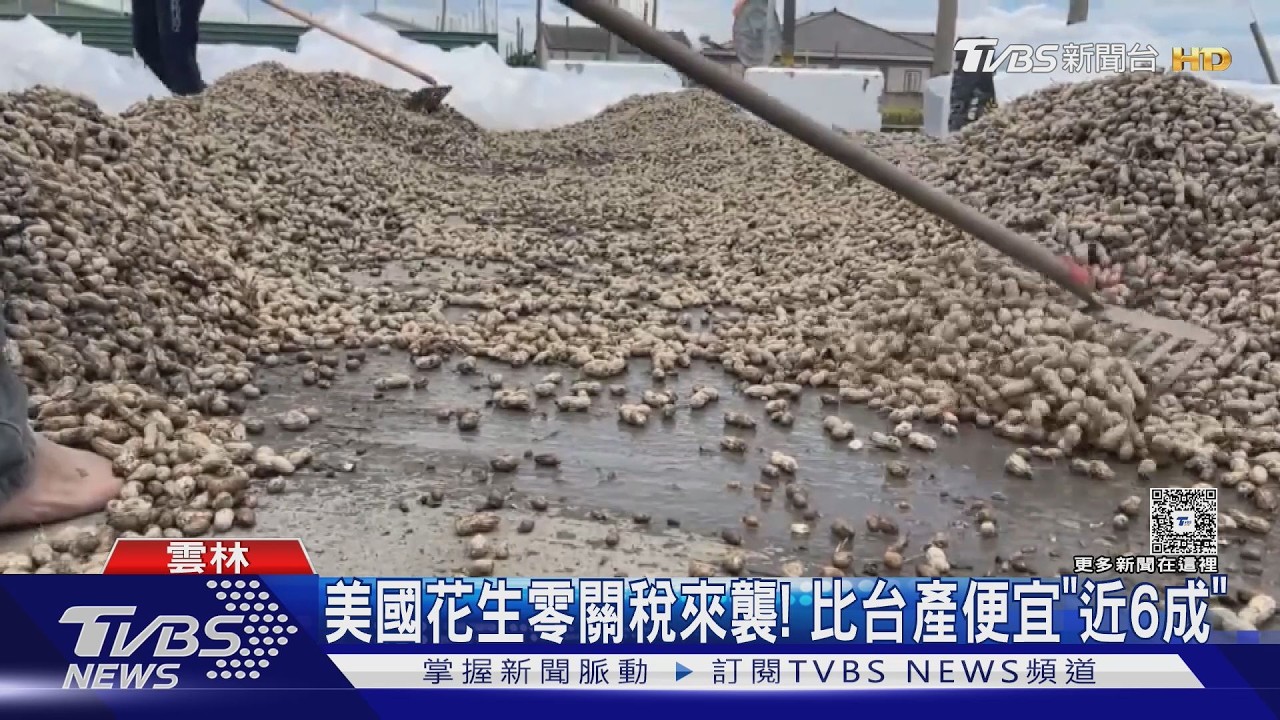影音/美國花生零關稅衝擊台灣!價格僅國產4成 農民嘆:聽天由命