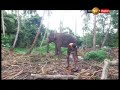 jeevithaya-sirasa-tv-15-06-2018