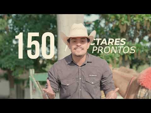 Fazenda Santa Rosa, Catalão Goiás