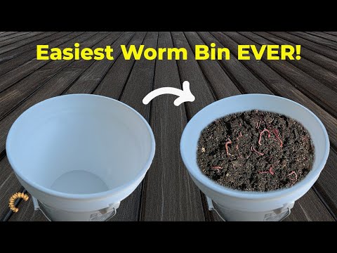 DIY 5-Gallon Worm Bin Tutorial | Easy Indoor Composting with Red Wigglers