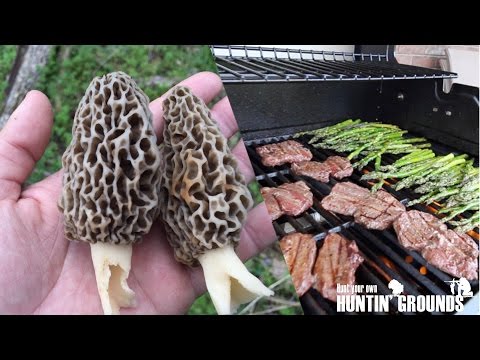 Catch and Cook  -  Deer and Morel Mushrooms  S8  #6
