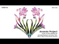 Ananda Project - Glory Glory (Reelsoul Remix)