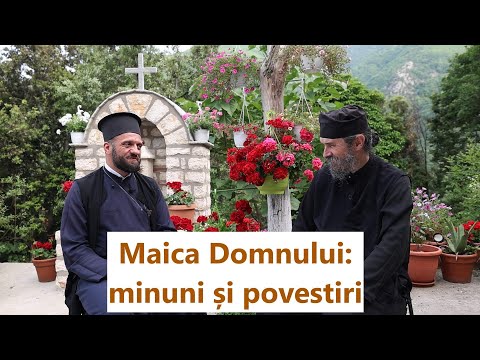 Maica Domnului: minuni și povestiri - p. Ioan Meiu, p. Teologos