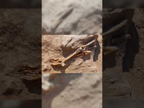 Sodom and Gomorrah: Did Science Just Prove the Bible Right? #sodomaegomorra #biblicalhistory