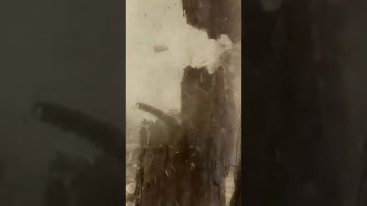 O poder real não vem do ódio,mas dá verdade ⚔️🪓 #filmes #poder #motivacional #reflexão #verdade