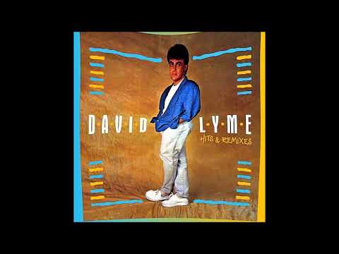 David Lyme - Megamix