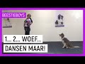 DOGGY DANCING | Extreme Animal Hobby's Beestieboys | NPO Zapp