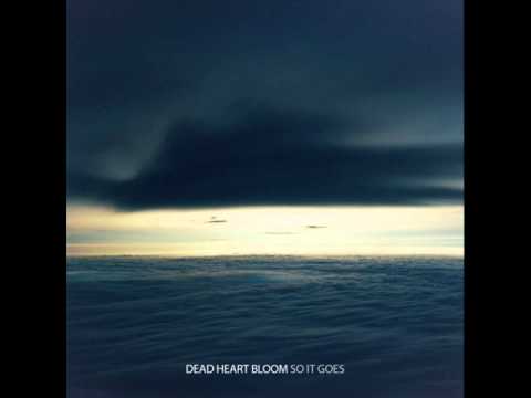 Dead Heart Bloom - A Place To Understand