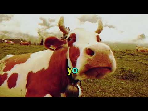 Video thumbnail for Next to Me (Yo Guy Version)