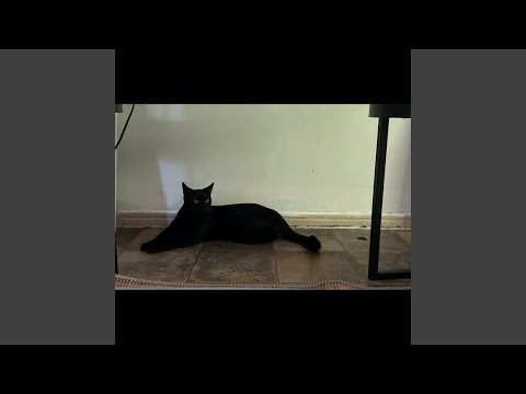 this house is not the same