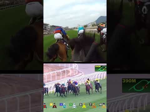 POV: Is THIS the greatest JockeyCam of all? The Hong Kong Cup as seen by Joao Moreira! #HKIR