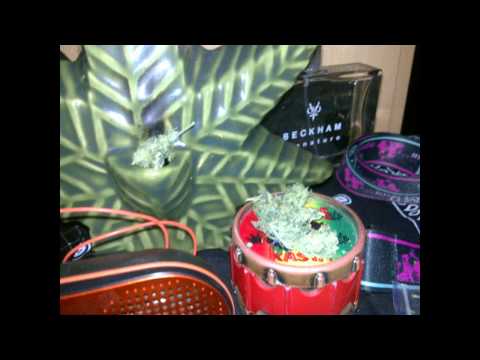 Luq-"probka"Nowa Nuta