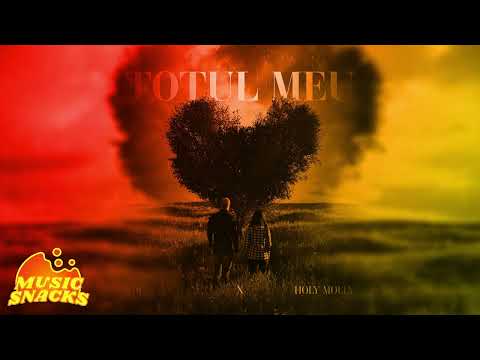 ADI x Holy Molly - Totul meu (TIKTOK VERSION)