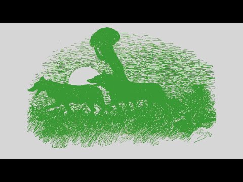 BtW Durchgeblättert Folge 8 - Der Druidenschüler und das Mondkind