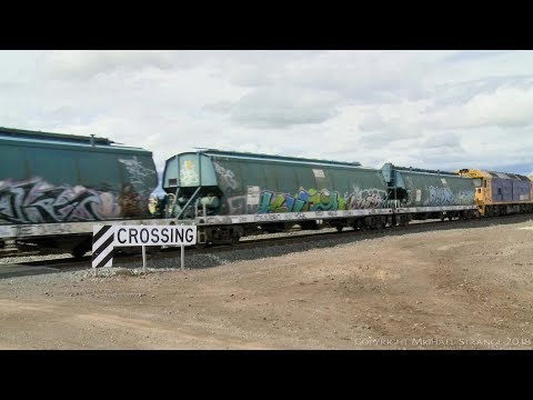 Grain Train with WGSY & WGBY Hoppers & BL Class Locomotives - PoathTV Australian Railways