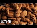 Health Benefits Of Almonds Remedy For Antioxidant Boost Benefits Of Soaked Almonds