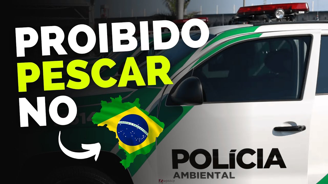 🔥END of PIRACEMA or END of FISHING | Discover the NEW RULES