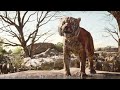 Il Libro Della Giungla 2016 Shere Khan Arriva Alla Pozza D Acqua Full Hd ITA