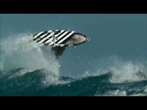 871 -  Beto Ihan -  LUAU  (Reggae)