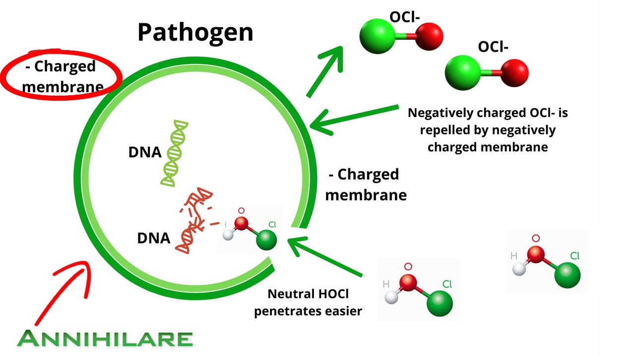 Annihilare®  (Chlorine Chemistry - Hypochlorous acid)