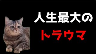 【猫ミーム】人生最大のトラウマ・・・鬱になった訳とは？葬儀社にアルバイトとして勤めていたお話その52
