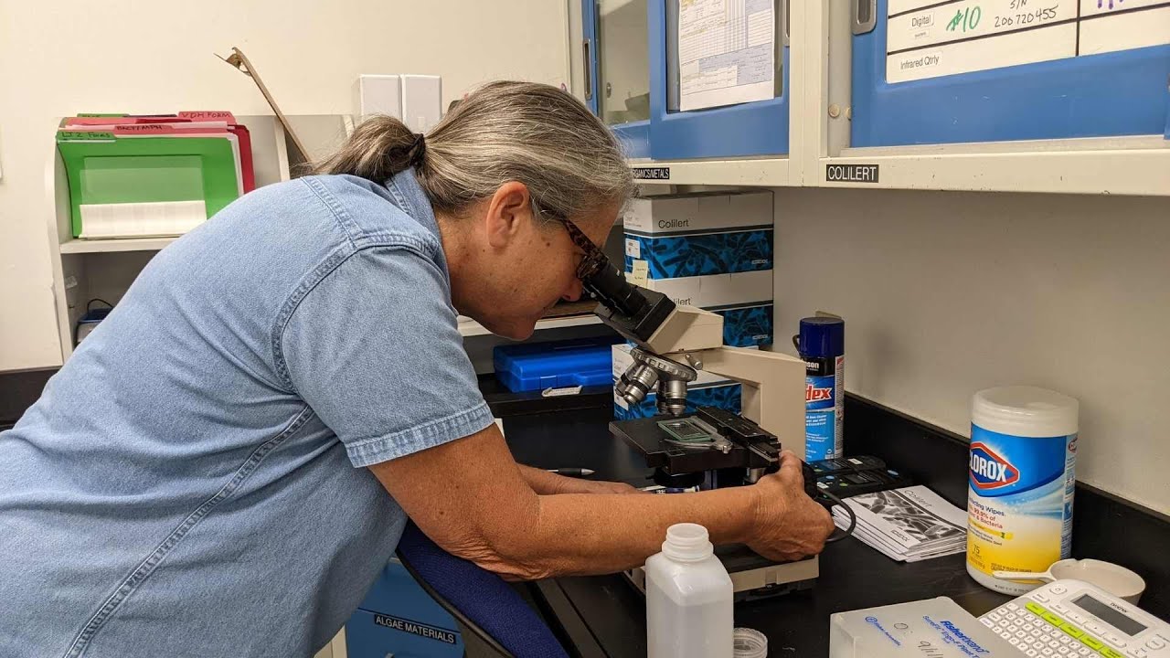 Water Quality Lab Analyst - What do we test for in our drinking water?