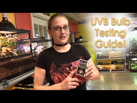 How to Test a UVB Bulb to See if It's Still Working! 💡
