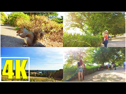 London walking tour at Richmond Hill | London England United Kingdom | 4K walk