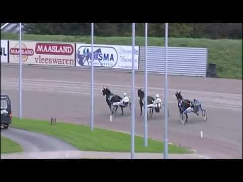 Victoria Park Wolvega 15-10-2014 JONKERPRIJS FARAO F BOKO - R. BAKKER