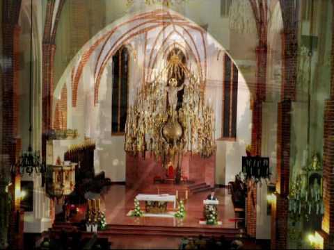 Franz Schubert "Ave Maria" - Jacek Szymański, tenor