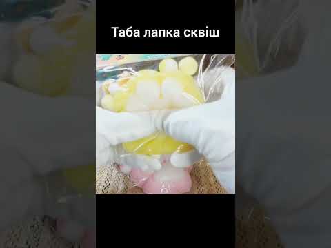 Таба сквиш лапка котика для детей - фото 2 - id-p2456482779