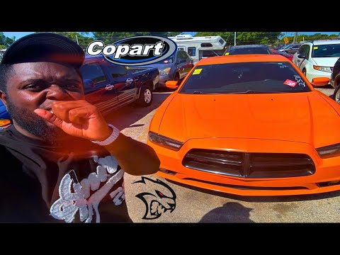 First Day at Cheap Public Car Auction w/ NO DEALERS LICENSE