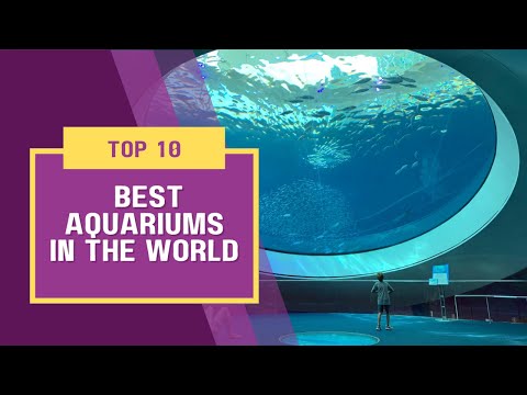 Top 10 best aquariums in the world