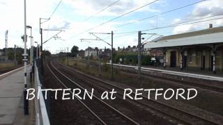 preview picture of video 'BITTERN at Retford on 25th July 2009'