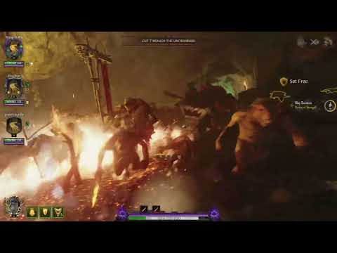 Cata, Grail Knight Clutch (ft.Hook Rats)｜Vermintide 2