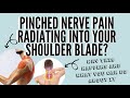 Pinched Nerve Pain Radiating into Your Shoulder Blade? WHY this happens & WHAT YOU can do about it!