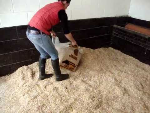 download lagu mp3 mp4 Laysoft, download lagu Laysoft gratis, unduh video klip Laysoft