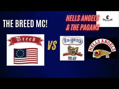 The Breed MC VS Hells Angels & The Pagans  Sneak Peak!!!