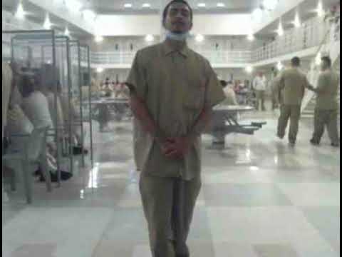 Peso “struggle life”