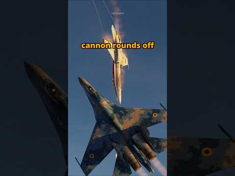 Flanker v Hornet Guns Only Duel #dcs #simulation
