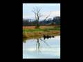 Unfamiliar. Wisely photography montage.