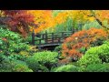 John Mayall - Crying 