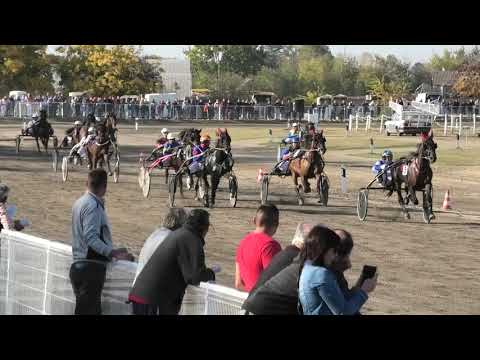 Trka "Vincent-O" 14.10.2018 Aqua-Dejan Katanić