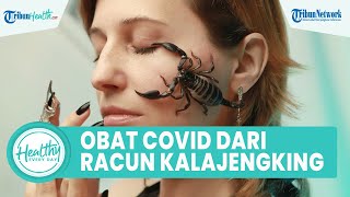 Mitos atau Fakta Racun Kalajengking dapat Cegah Varian Covid-19? Simak Ulasan Profesor Abdel Rahman