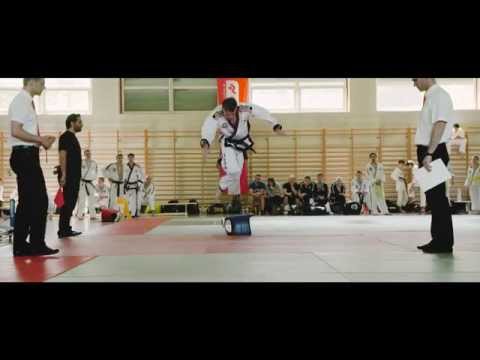 Hapkido (Daehan Minguk) - European Championships 2015 - Team Austria