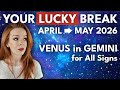 Venus in Gemini for All Signs (April - May 2026)