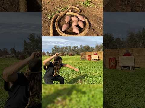 Let’s Sink a SHIP!!! #history #slingshot